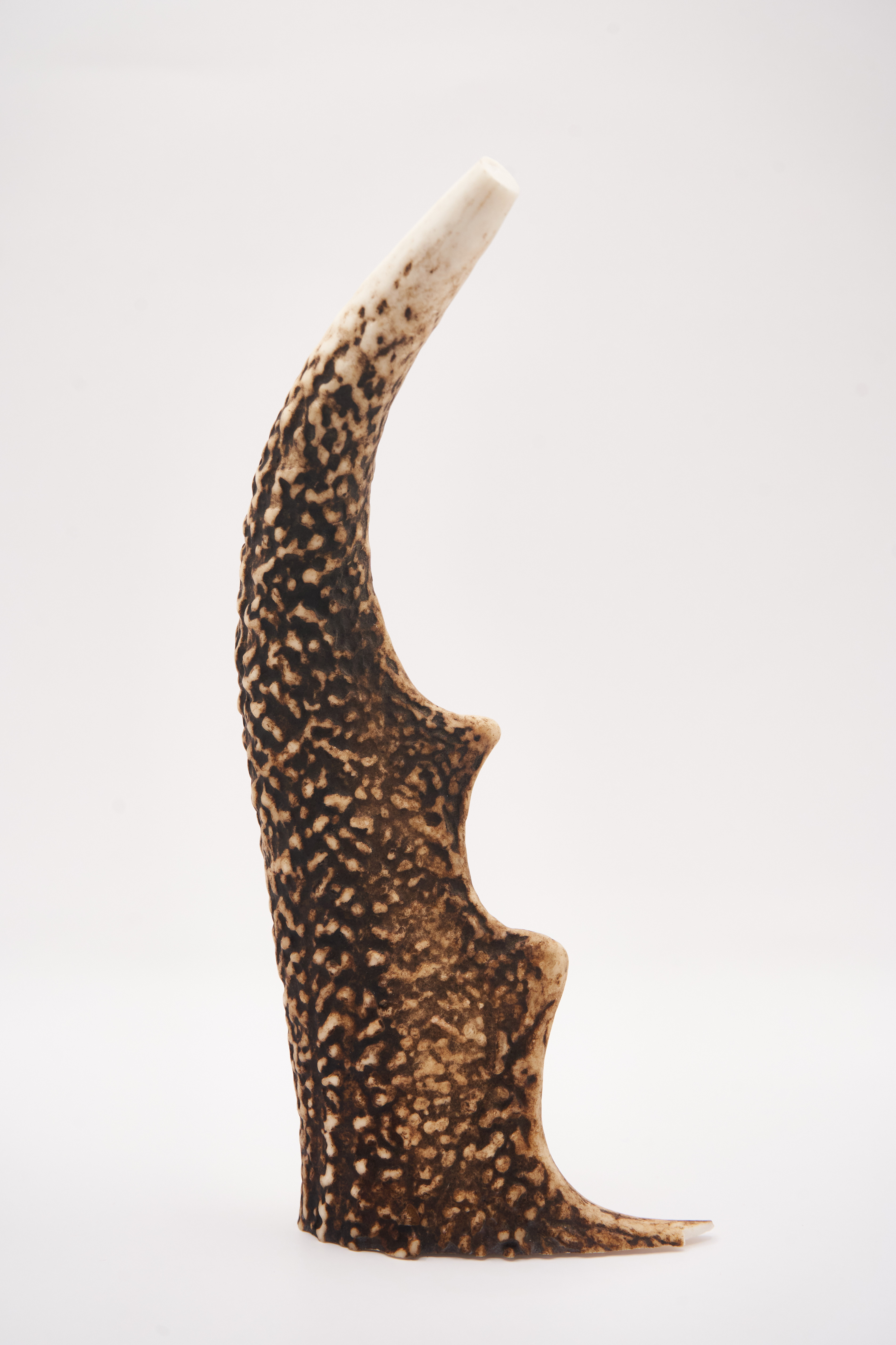 Deer Antler Chew - Small 4