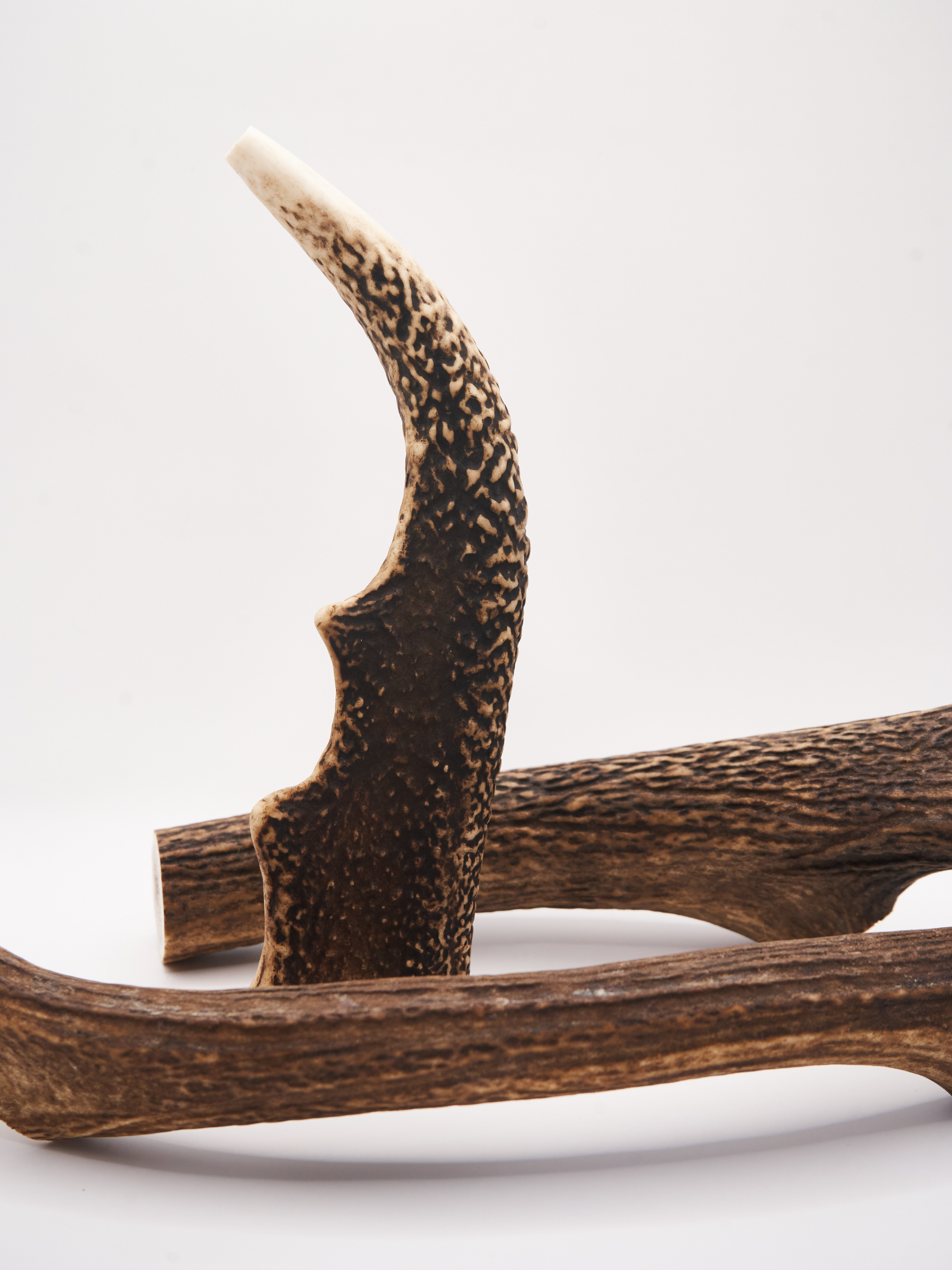 Deer Antler Chew - Small